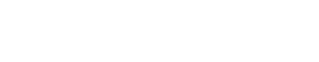 SeFlow Logo